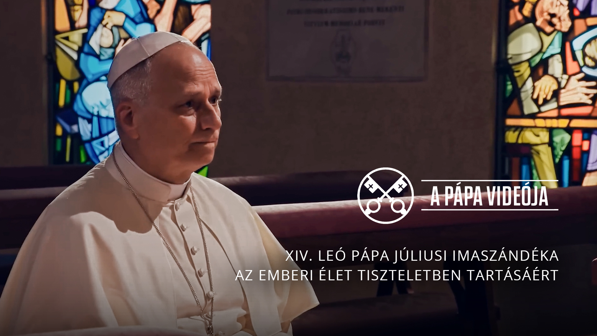 XIV. Leó pápa júliusi imaszándéka – Az emberi élet tiszteletben tartásáért